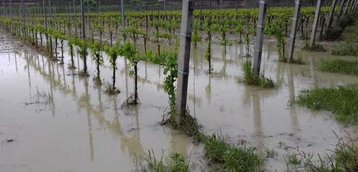 Alluvione Novembre 2023 La Regione Toscana Apre Il Portale Per La